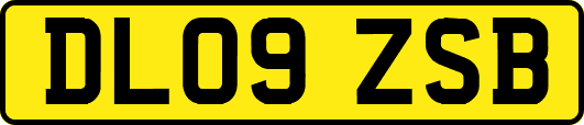 DL09ZSB