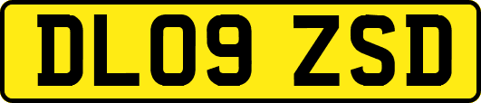 DL09ZSD