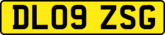 DL09ZSG