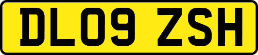 DL09ZSH