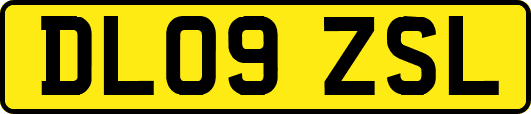 DL09ZSL