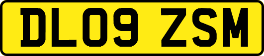 DL09ZSM