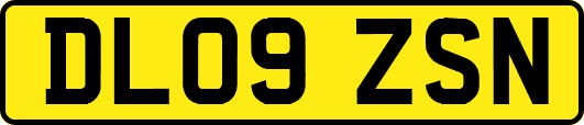 DL09ZSN