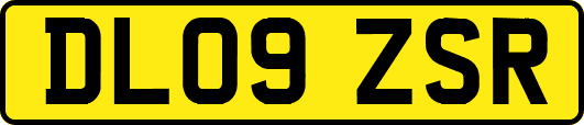 DL09ZSR
