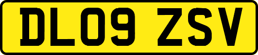 DL09ZSV