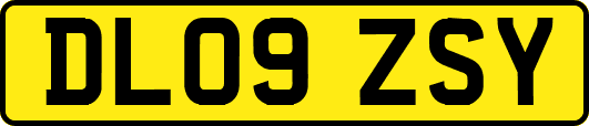 DL09ZSY