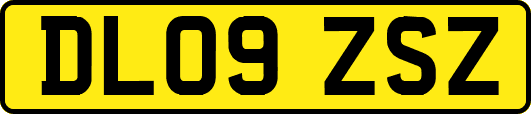 DL09ZSZ