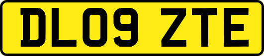 DL09ZTE