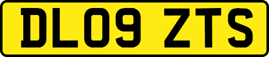 DL09ZTS