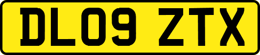 DL09ZTX