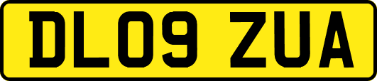 DL09ZUA
