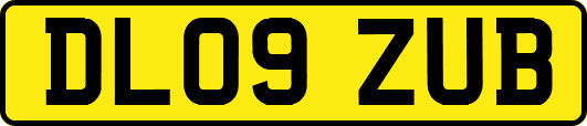 DL09ZUB