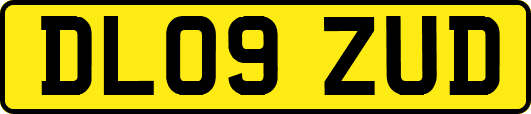 DL09ZUD