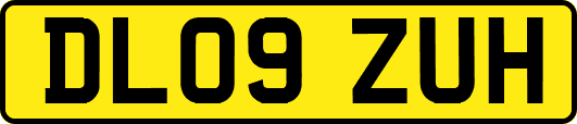 DL09ZUH