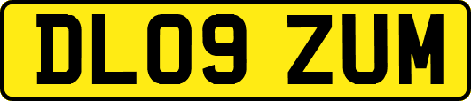 DL09ZUM