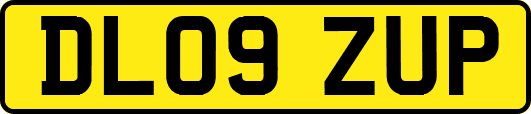 DL09ZUP