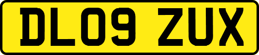 DL09ZUX