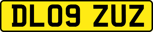 DL09ZUZ