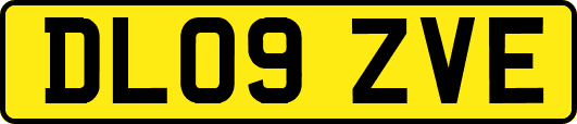 DL09ZVE