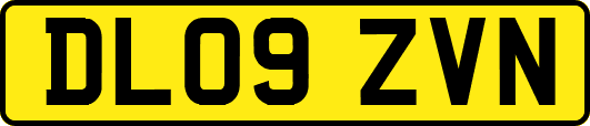 DL09ZVN