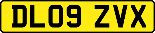 DL09ZVX