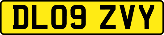 DL09ZVY