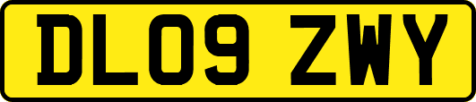 DL09ZWY