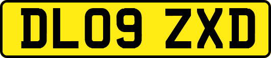 DL09ZXD