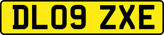 DL09ZXE