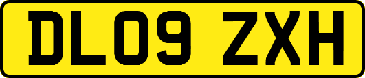 DL09ZXH