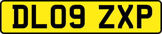 DL09ZXP