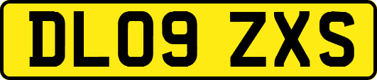 DL09ZXS