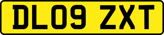 DL09ZXT