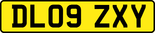 DL09ZXY