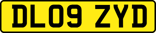 DL09ZYD