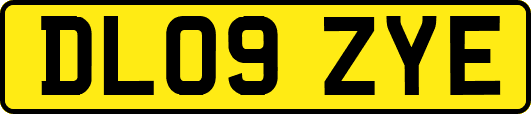 DL09ZYE