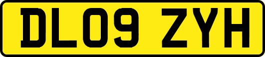 DL09ZYH