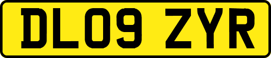 DL09ZYR