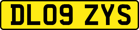 DL09ZYS