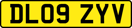 DL09ZYV