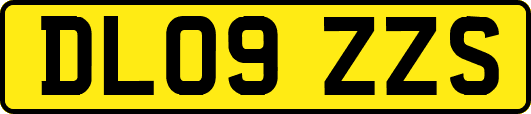 DL09ZZS