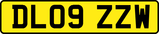 DL09ZZW