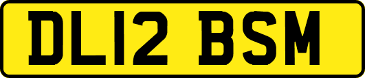 DL12BSM