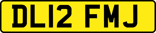 DL12FMJ