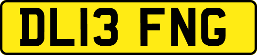 DL13FNG