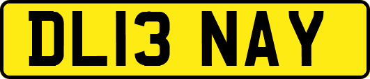 DL13NAY
