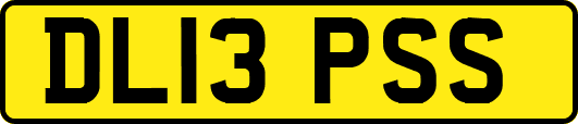 DL13PSS