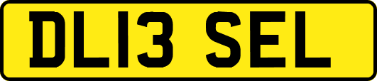 DL13SEL