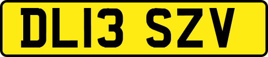DL13SZV