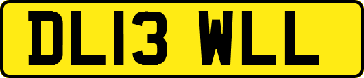 DL13WLL